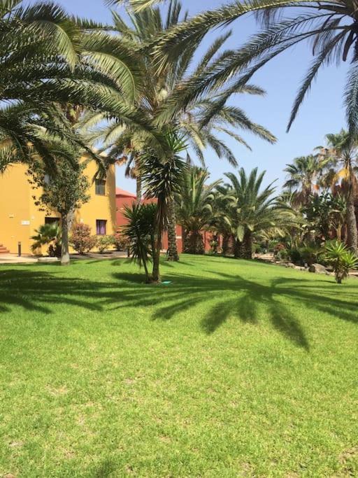Corralejo Happy Place, Precioso Apartamento Con Piscina Exteriér fotografie